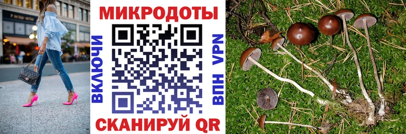 продажа наркотиков  Покров  гидра зеркало  Псилоцибиновые грибы ЛСД 